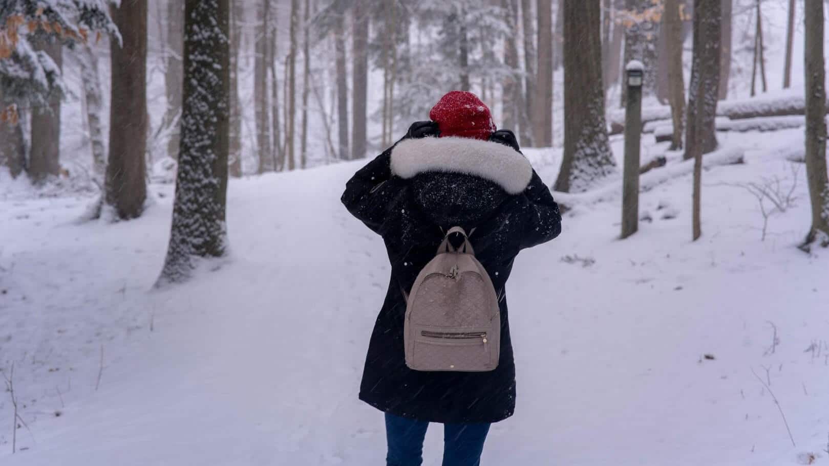 Navigating Grief A Journey Through A Snowy Day